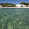 Centro Congressi Hotel Flamingo Sardegna